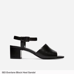 Black Everlane Block Heel Sandals